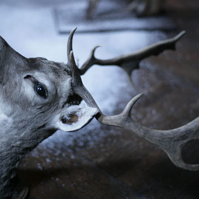 Behind The Scenes Within Temptation Music Video All I Need